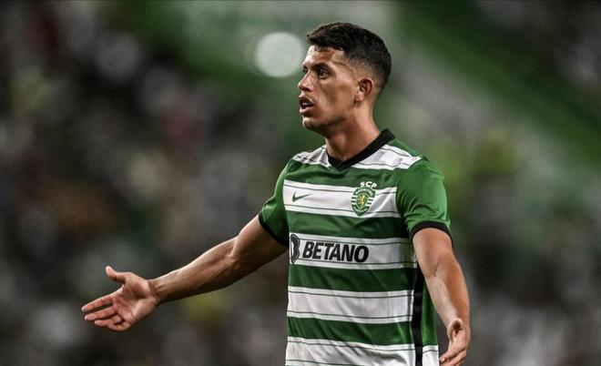 大引援力度 大引援力度