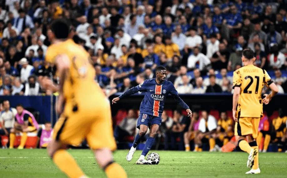 体育女排联 体育女排联