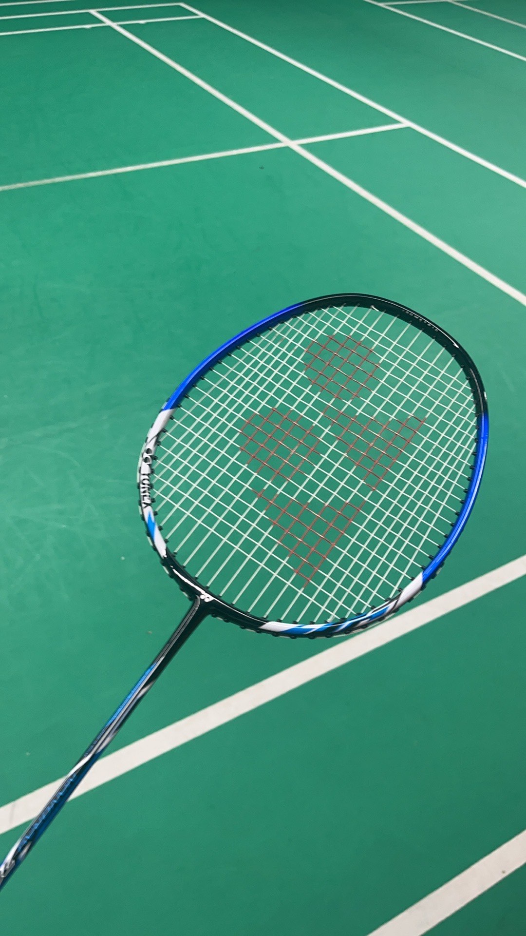 萨利巴与萨 萨利巴与萨